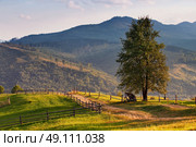 September rural scene in Carpathian mountains. Authentic village and fence . Стоковое фото, агентство Ingram Publishing / Фотобанк Лори