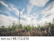 Barenaked tree on a field with withered plants and blue sky. Стоковое фото, агентство Ingram Publishing / Фотобанк Лори
