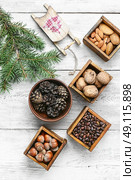 nuts and decorative sled. Стоковое фото, агентство Ingram Publishing / Фотобанк Лори