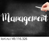 Management written on a blackboard. Стоковое фото, агентство Ingram Publishing / Фотобанк Лори