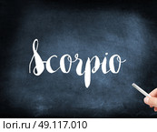 Scorpio written on a blackboard. Стоковое фото, агентство Ingram Publishing / Фотобанк Лори