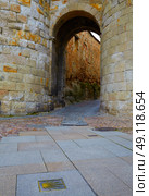 Zamora door of Dona Urraca in Spain with Saint James way sign on floor. Стоковое фото, агентство Ingram Publishing / Фотобанк Лори