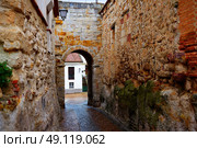 Zamora door of Dona Urraca in Spain by the via de la Plata way of Saint James. Стоковое фото, агентство Ingram Publishing / Фотобанк Лори