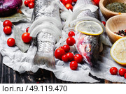 Seasoning for raw fish. Carcass raw fish on the kitchen table with spices. Стоковое фото, агентство Ingram Publishing / Фотобанк Лори