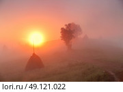 Sunrise over mountain field. Haystacks in misty rural hills. Foggy autumn morning in mountains. Стоковое фото, агентство Ingram Publishing / Фотобанк Лори