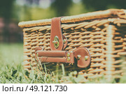 Picnic Basket Hamper With Leather Handle In Green Grass. Стоковое фото, агентство Ingram Publishing / Фотобанк Лори