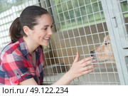 cheerful woman gives dog sweets through the fence. Стоковое фото, агентство Ingram Publishing / Фотобанк Лори