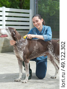 female vet stroking dog at animal shelter. Стоковое фото, агентство Ingram Publishing / Фотобанк Лори