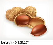 Peanuts in shell, vector icon. Стоковая иллюстрация, агентство Ingram Publishing / Фотобанк Лори
