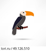 Toucan, Vector illustration of a Toucan. Стоковая иллюстрация, агентство Ingram Publishing / Фотобанк Лори
