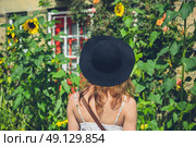 A young woman wearing a hat and a dress is admiring some sunflowers outside a house on a sunny day in summer. Стоковое фото, агентство Ingram Publishing / Фотобанк Лори