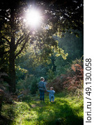 Children walking together in sun lit woodland. Стоковое фото, агентство Ingram Publishing / Фотобанк Лори