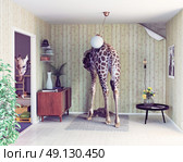 giraffe in the living room. creative concept. Photo and cg elements combination. Стоковое фото, агентство Ingram Publishing / Фотобанк Лори