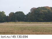 Group Of Men On A Driven Game Shoot. Стоковое фото, агентство Ingram Publishing / Фотобанк Лори