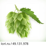 Hop plant 3d vector icon. Стоковая иллюстрация, агентство Ingram Publishing / Фотобанк Лори