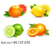  Citrus Fruits  4 Realistic Icons Set . Fresh citrus fruits whole and halves 4 realistic icons square with orange grapefruit lemon isolated vector illustration  . Стоковая иллюстрация, агентство Ingram Publishing / Фотобанк Лори