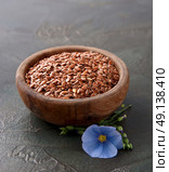 Flax seed with flax flower. Стоковое фото, фотограф Волошина Мария Ивановна / Фотобанк Лори