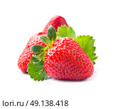 Sweet strawberry with leaves. Стоковое фото, фотограф Волошина Мария Ивановна / Фотобанк Лори