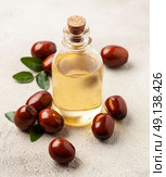 Jojoba oil in bottle with ripe jojoba fruits. Стоковое фото, фотограф Волошина Мария Ивановна / Фотобанк Лори