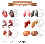 Human Organs Heath Risks Medical Poster. Human organs health risk factors icons composition medical poster with hart liver brain and lungs educative vector illustration . Стоковая иллюстрация, агентство Ingram Publishing / Фотобанк Лори