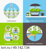 Hydroponics Flat Concept. Color flat composition 2x2 depicting hydroponic system gardering vector illustration. Стоковая иллюстрация, агентство Ingram Publishing / Фотобанк Лори