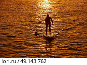 SUP Stand up Surf girl with paddle at sunset. Стоковое фото, агентство Ingram Publishing / Фотобанк Лори
