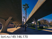 Valencia Pont de fusta bridge de Madera low angle view in Turia gardens park. Стоковое фото, агентство Ingram Publishing / Фотобанк Лори