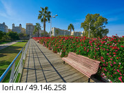 Valencia Puente de las Flores flowers bridge in Spain. Стоковое фото, агентство Ingram Publishing / Фотобанк Лори