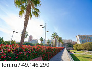Valencia Puente de las Flores flowers bridge in Spain. Стоковое фото, агентство Ingram Publishing / Фотобанк Лори