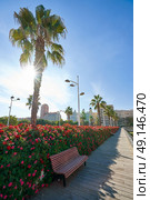 Valencia Puente de las Flores flowers bridge in Spain. Стоковое фото, агентство Ingram Publishing / Фотобанк Лори