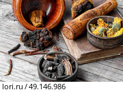 Set of healing herbs. Medicinal herbs of folk medicine comfrey,birch mushroom and calendula. Стоковое фото, агентство Ingram Publishing / Фотобанк Лори