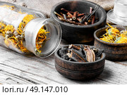 Set of medicinal herbs. Glass pharmacy jar with dried flowers of calendula and comfrey for therapy. Стоковое фото, агентство Ingram Publishing / Фотобанк Лори