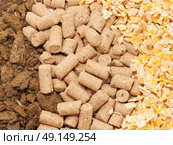 sunflower meal, maize and bran background macro. Food for horses and farm animal. Стоковое фото, агентство Ingram Publishing / Фотобанк Лори