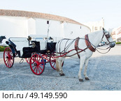 Horse  carriage in Ronda. front bullfighting arena. Стоковое фото, агентство Ingram Publishing / Фотобанк Лори