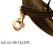 carbine from lungeing rein for working horse isolated . Стоковое фото, агентство Ingram Publishing / Фотобанк Лори