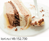 slice of chocolat mousse cake on white plate. Стоковое фото, агентство Ingram Publishing / Фотобанк Лори