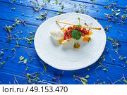 Steak Tartare with mustard ice-cream and airbag starter Tartar recipe. Стоковое фото, агентство Ingram Publishing / Фотобанк Лори