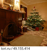 Traditional Christmas tree in living room with sparkly lighting. Стоковое фото, агентство Ingram Publishing / Фотобанк Лори
