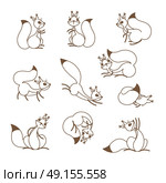 Cartoon cute squirrel. Little funny squirrels. Vector illustration. Cartoon cute squirrel. Little funny squirrels. Vector illustration grouped and layered for easy editing. Стоковая иллюстрация, агентство Ingram Publishing / Фотобанк Лори
