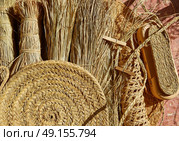 Esparto halfah grass used for crafts as cords basketry and espadrilles. Стоковое фото, агентство Ingram Publishing / Фотобанк Лори