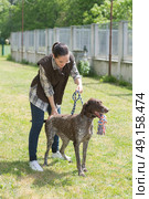dedicated girl training dog in kennel. Стоковое фото, агентство Ingram Publishing / Фотобанк Лори