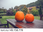 Pumkins on a table in a garden in the fall. Стоковое фото, агентство Ingram Publishing / Фотобанк Лори