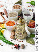 peppercorn and Indian spice. Variety of spices and seasonings on kitchen table. Стоковое фото, агентство Ingram Publishing / Фотобанк Лори
