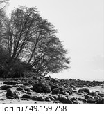 Scenic view of rocky beach, Wreck Beach, Foreshore Trail, Vancouver, British Columbia, Canada. Стоковое фото, агентство Ingram Publishing / Фотобанк Лори