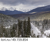 Elevated view of trees, Highway 16, Jasper, Jasper National Park, Alberta, Canada. Стоковое фото, агентство Ingram Publishing / Фотобанк Лори