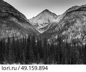View of trees with snowcapped mountain in the background, Alaska Highway, Northern Rockies Regional Municipality, British Columbia, Canada. Стоковое фото, агентство Ingram Publishing / Фотобанк Лори
