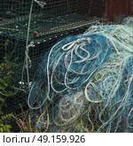 Fishing net in harbor, West Dover, Halifax, Nova Scotia, Canada. Стоковое фото, агентство Ingram Publishing / Фотобанк Лори
