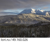 Scenic view of trees with mountain range in the background, Alaska Highway, Northern Rockies Regional Municipality, British Columbia, Canada. Стоковое фото, агентство Ingram Publishing / Фотобанк Лори