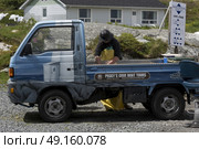 Fisherman loading equipment on truck, Peggy's Cove, Nova Scotia, Canada. Стоковое фото, агентство Ingram Publishing / Фотобанк Лори