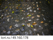 High angle view of wet pebbled surface, Yelapa, Jalisco, Mexico. Стоковое фото, агентство Ingram Publishing / Фотобанк Лори